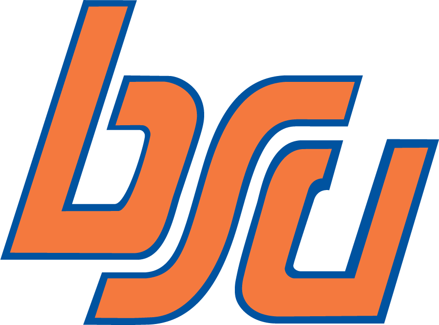 Boise State Broncos 1974-2002 Alternate Logo diy DTF decal sticker